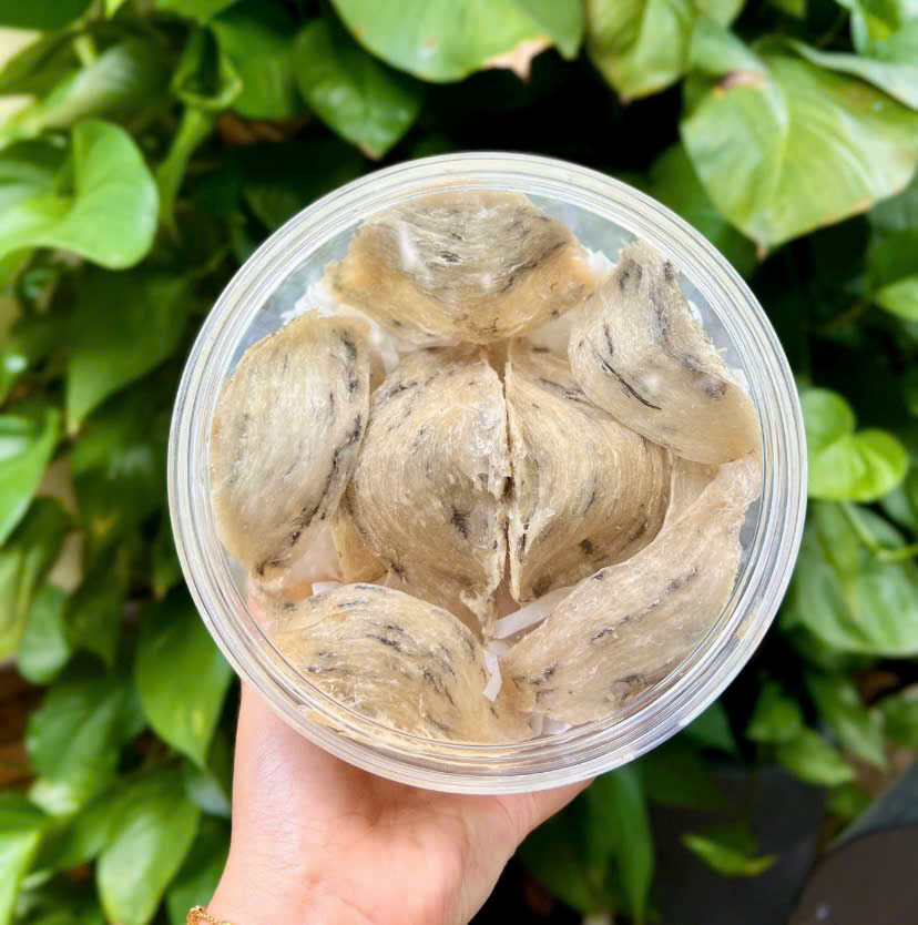 Tổ Yến Thô Khánh Hòa Loại 1 Chính Hãng